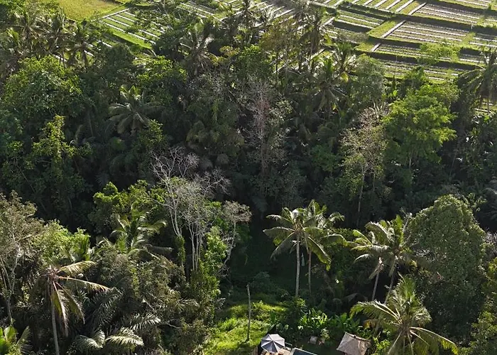 Pitu, A Punggul Village Escape